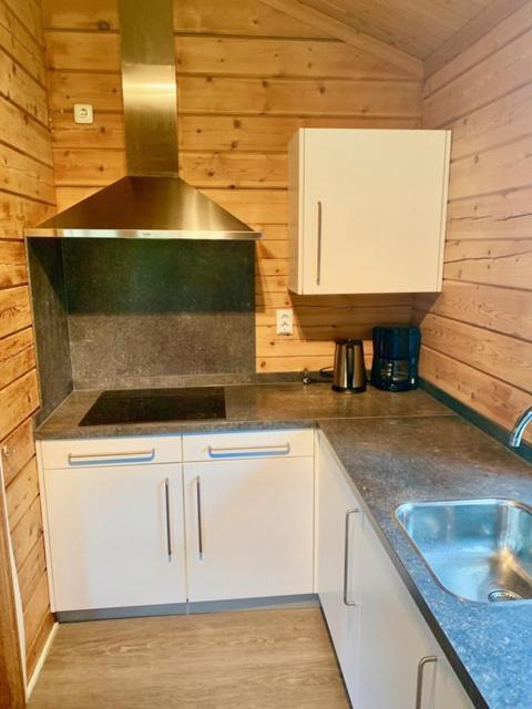 2 Bedroom Fins Chalet Gramsbergen Экстерьер фото